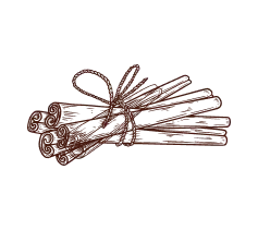 spice illustration: a bundle of cinnamon sticks tied with a string, used to make gin in India.